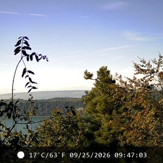 Ruine Hohenfels